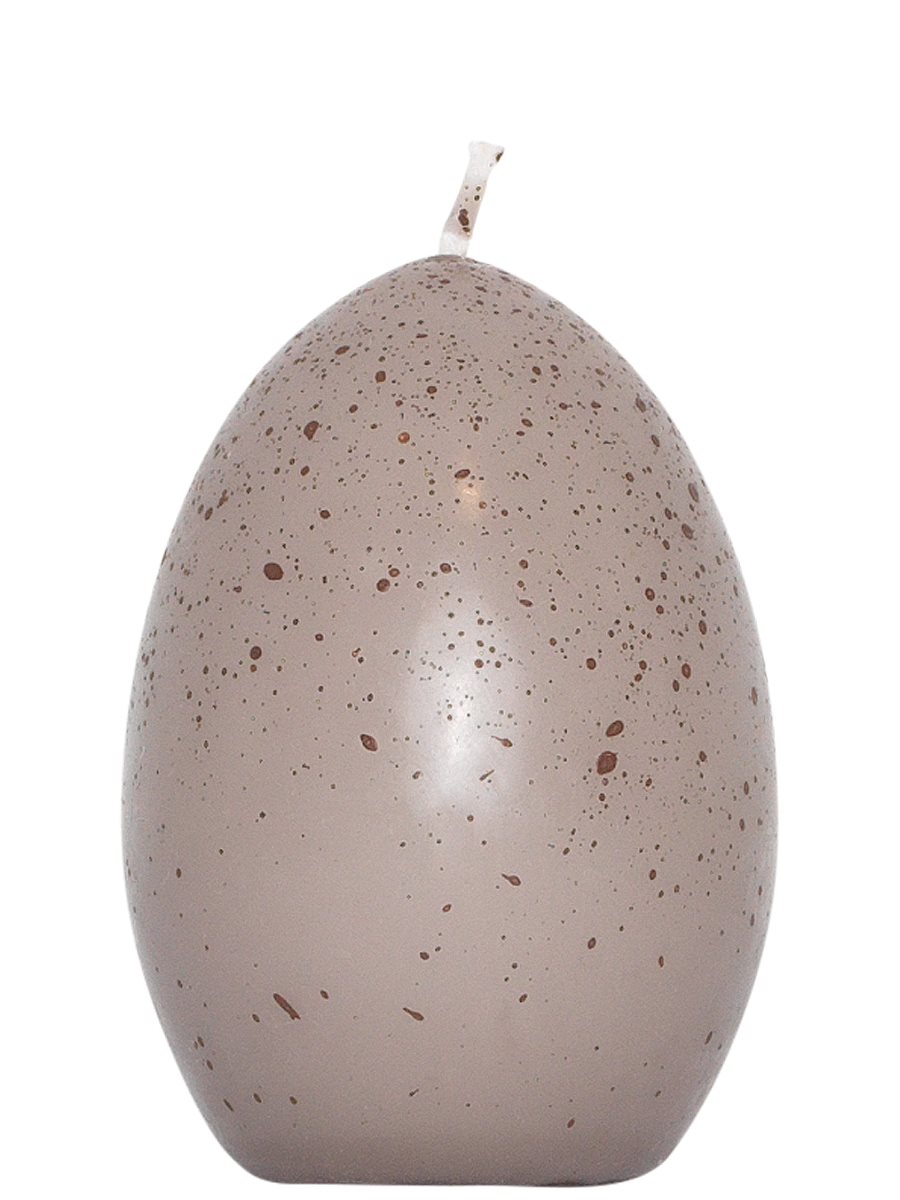 Bird Egg Candle