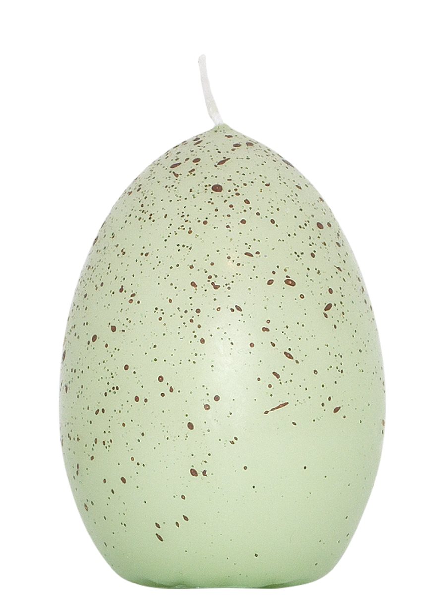 Bird Egg Candle